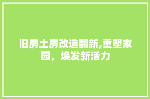 旧房土房改造翻新,重塑家园，焕发新活力