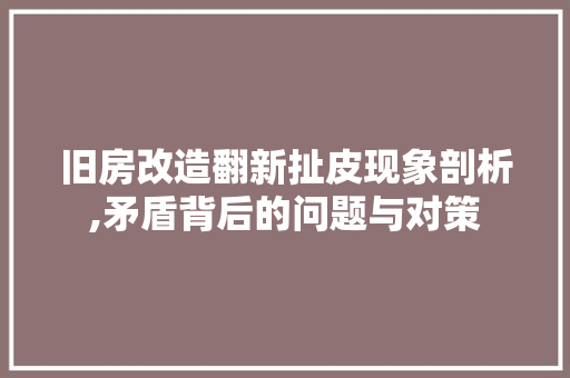 旧房改造翻新扯皮现象剖析,矛盾背后的问题与对策