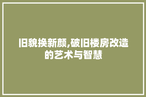 旧貌换新颜,破旧楼房改造的艺术与智慧