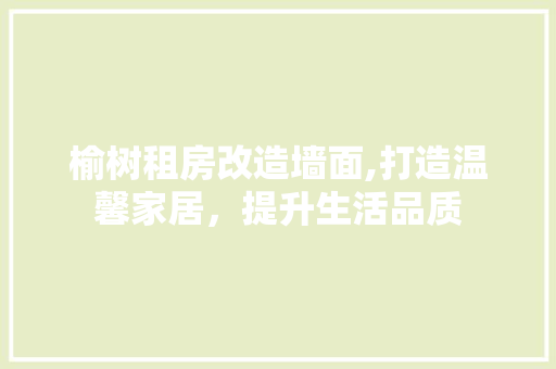 榆树租房改造墙面,打造温馨家居，提升生活品质