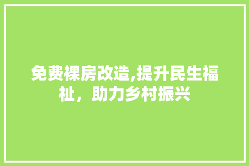 免费裸房改造,提升民生福祉，助力乡村振兴