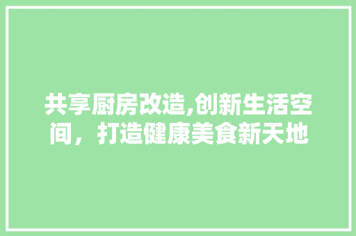 共享厨房改造,创新生活空间，打造健康美食新天地