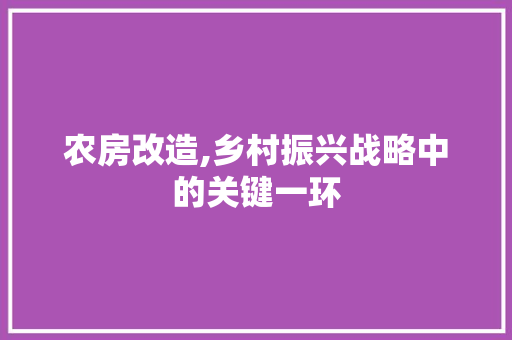 农房改造,乡村振兴战略中的关键一环