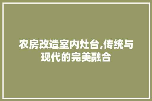 农房改造室内灶台,传统与现代的完美融合