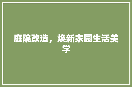 庭院改造，焕新家园生活美学