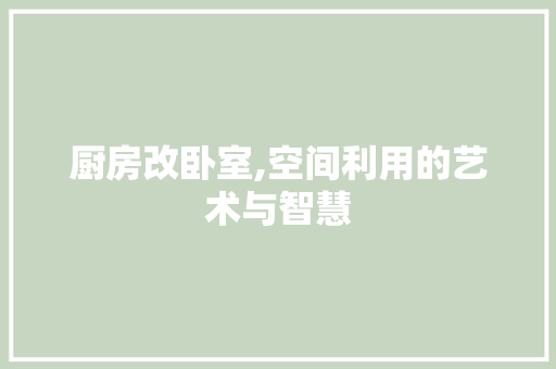 厨房改卧室,空间利用的艺术与智慧
