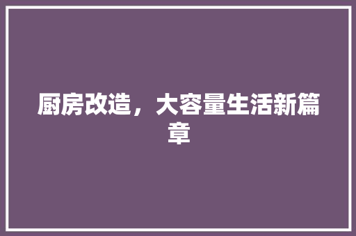 厨房改造，大容量生活新篇章
