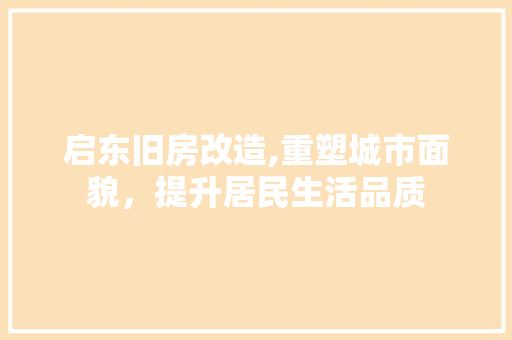 启东旧房改造,重塑城市面貌，提升居民生活品质