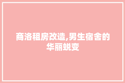 商洛租房改造,男生宿舍的华丽蜕变