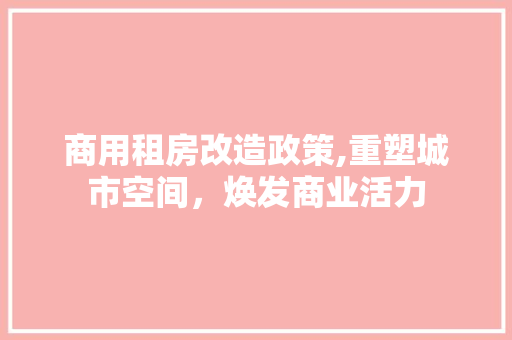 商用租房改造政策,重塑城市空间，焕发商业活力