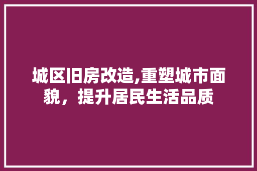 城区旧房改造,重塑城市面貌，提升居民生活品质