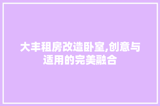 大丰租房改造卧室,创意与适用的完美融合