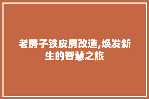 老房子铁皮房改造,焕发新生的智慧之旅