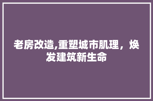 老房改造,重塑城市肌理，焕发建筑新生命