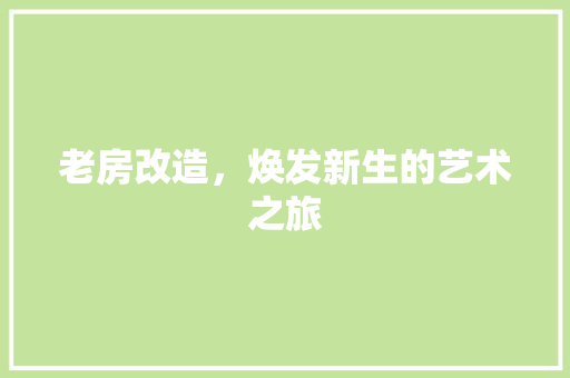 老房改造，焕发新生的艺术之旅