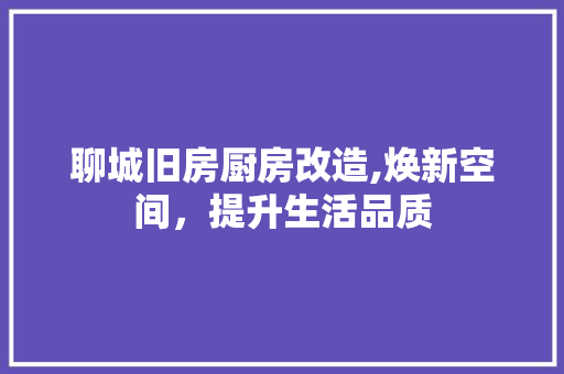 聊城旧房厨房改造,焕新空间，提升生活品质