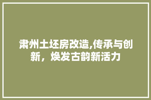 肃州土坯房改造,传承与创新，焕发古韵新活力