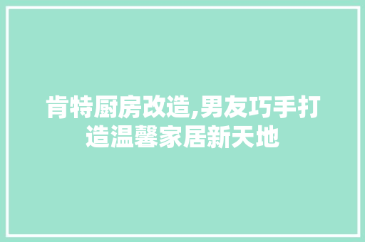 肯特厨房改造,男友巧手打造温馨家居新天地