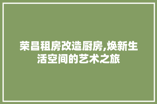 荣昌租房改造厨房,焕新生活空间的艺术之旅
