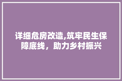 详细危房改造,筑牢民生保障底线，助力乡村振兴