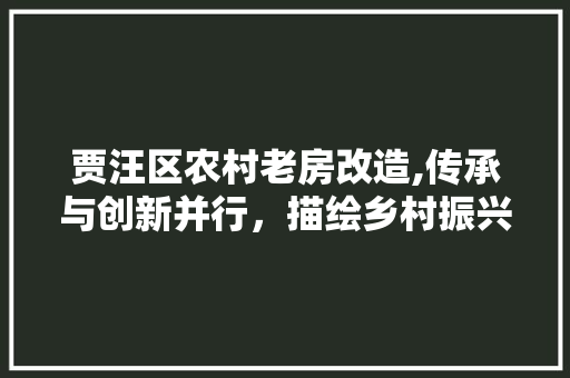 贾汪区农村老房改造,传承与创新并行，描绘乡村振兴新画卷