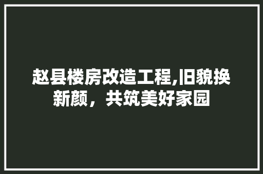 赵县楼房改造工程,旧貌换新颜，共筑美好家园
