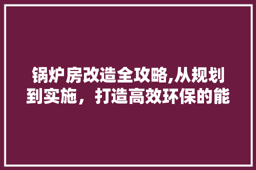 锅炉房改造全攻略,从规划到实施，打造高效环保的能源中心