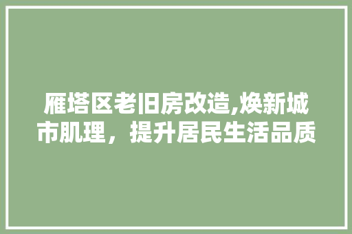 雁塔区老旧房改造,焕新城市肌理，提升居民生活品质