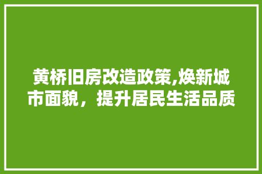 黄桥旧房改造政策,焕新城市面貌，提升居民生活品质