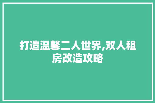 打造温馨二人世界,双人租房改造攻略