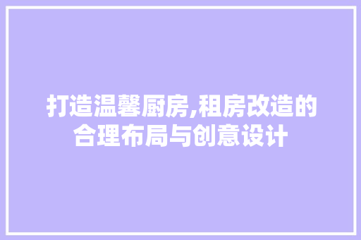 打造温馨厨房,租房改造的合理布局与创意设计
