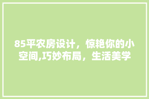 85平农房设计，惊艳你的小空间,巧妙布局，生活美学新境界