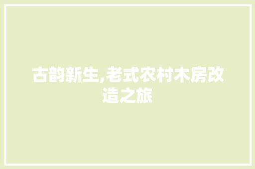 古韵新生,老式农村木房改造之旅