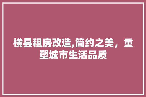 横县租房改造,简约之美，重塑城市生活品质