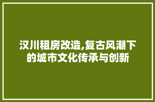 汉川租房改造,复古风潮下的城市文化传承与创新