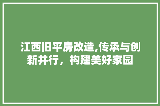 江西旧平房改造,传承与创新并行，构建美好家园