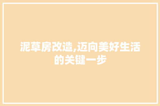 泥草房改造,迈向美好生活的关键一步