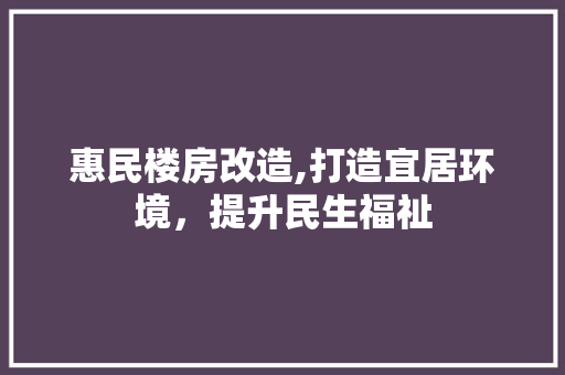 惠民楼房改造,打造宜居环境，提升民生福祉