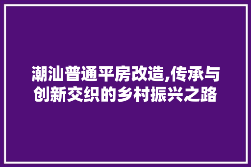 潮汕普通平房改造,传承与创新交织的乡村振兴之路