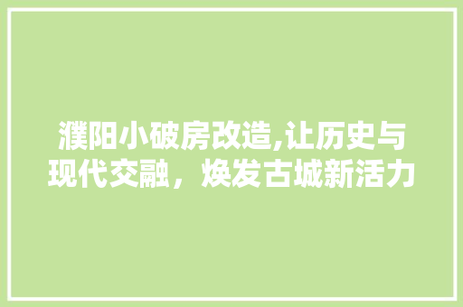 濮阳小破房改造,让历史与现代交融，焕发古城新活力