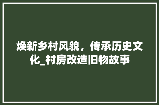 焕新乡村风貌，传承历史文化_村房改造旧物故事