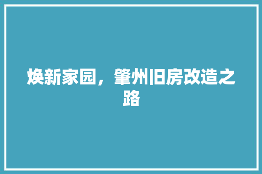 焕新家园，肇州旧房改造之路