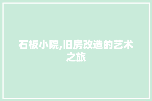 石板小院,旧房改造的艺术之旅