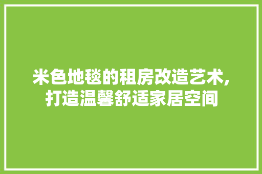 米色地毯的租房改造艺术,打造温馨舒适家居空间
