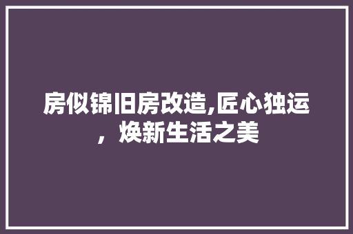 房似锦旧房改造,匠心独运，焕新生活之美