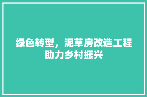 绿色转型，泥草房改造工程助力乡村振兴