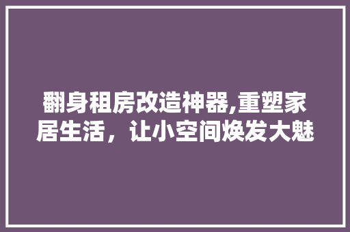 翻身租房改造神器,重塑家居生活，让小空间焕发大魅力