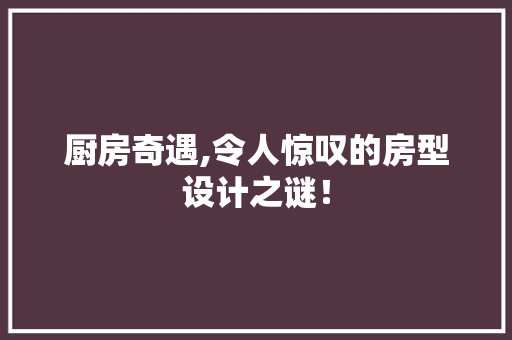 厨房奇遇,令人惊叹的房型设计之谜！