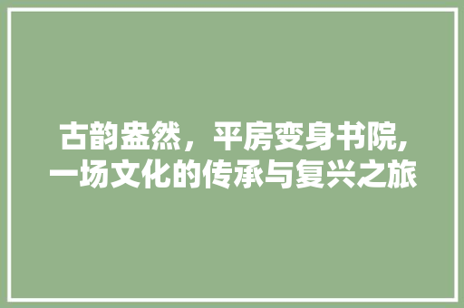 古韵盎然，平房变身书院,一场文化的传承与复兴之旅