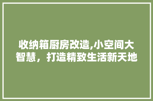 收纳箱厨房改造,小空间大智慧，打造精致生活新天地